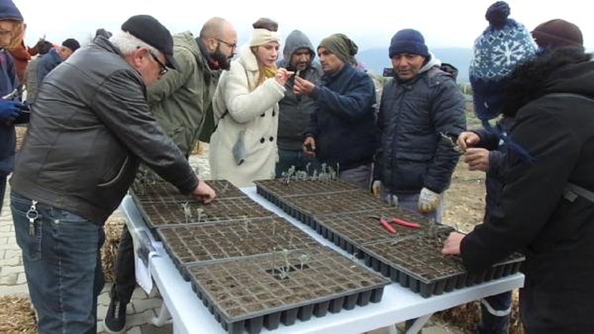 Tıbbi ve Aromatik Bitki Yetiştiriciliği İlgi Görüyor