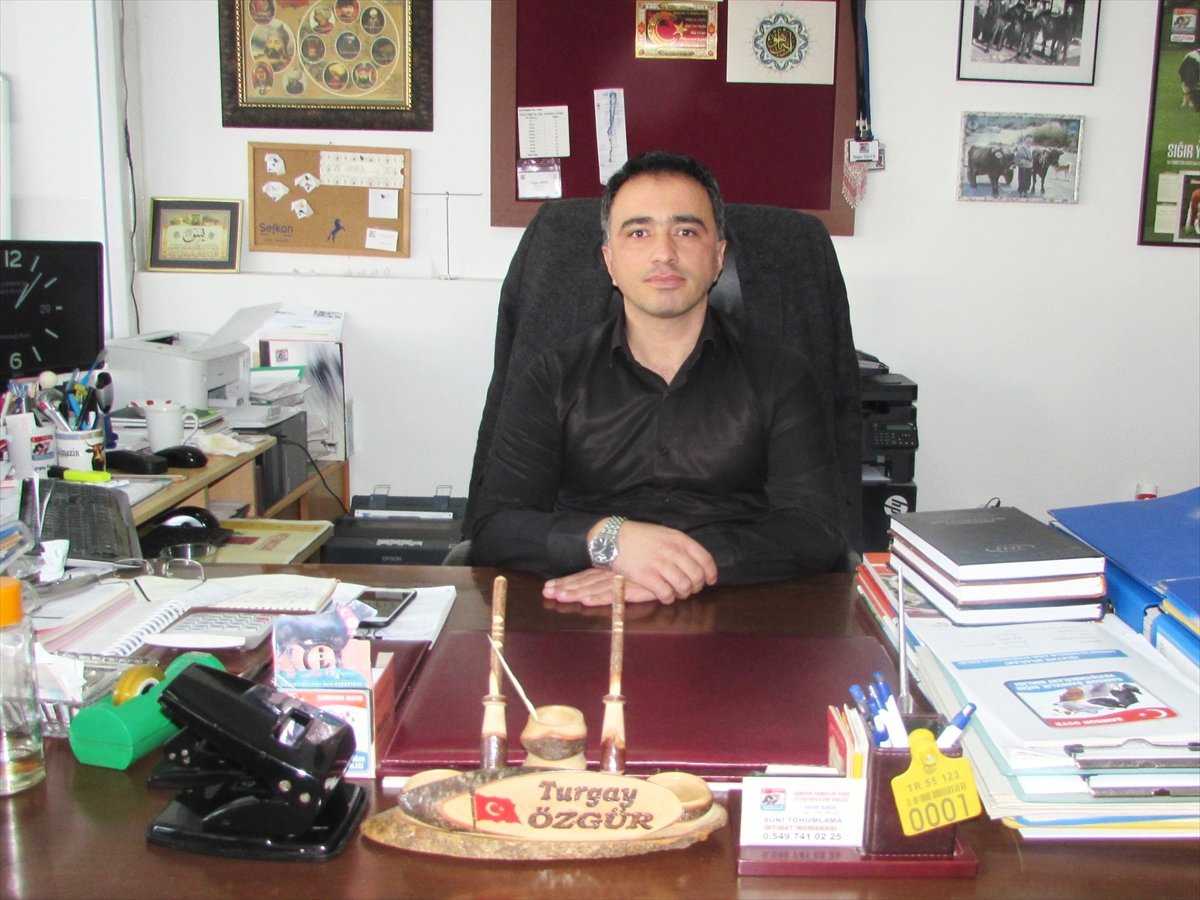 Besicilere Hayvanlar İçin "Ayak Sağlığı" Uyarısı