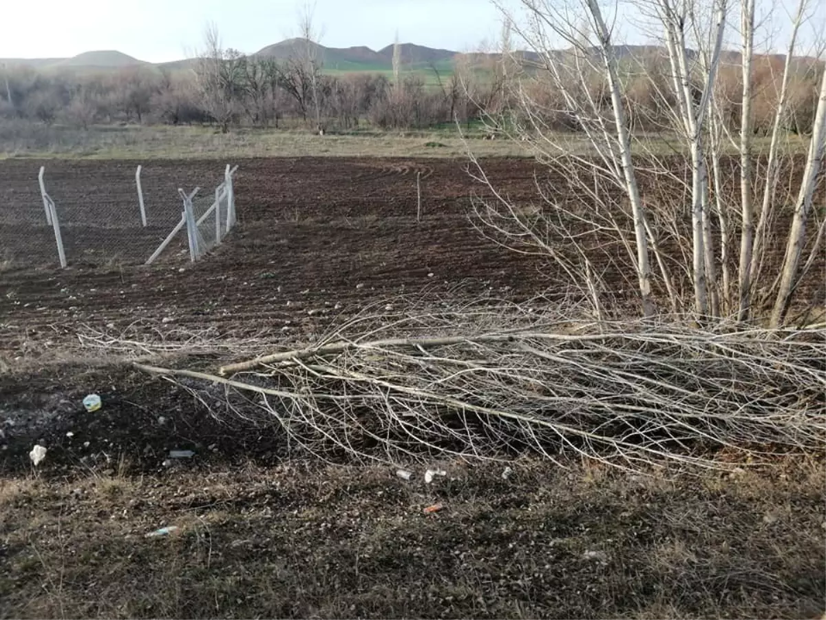 Ticari Araç Şarampole Uçtu: 3 Yaralı