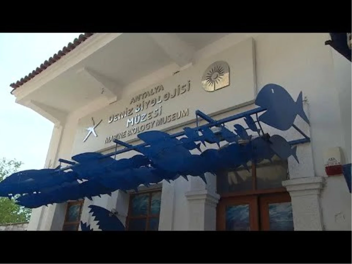 Video | Türkiye\'nin İlk Deniz Biyoloji Müzesi Antalya\'da Ziyaretçilerini Ağırlıyor