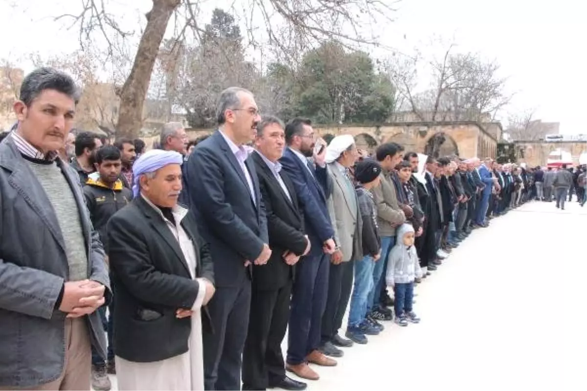 Yeni Zelanda\'da Ölenler İçin Şanlıurfa\'da Gıyabi Cenaze Namazı Kılındı