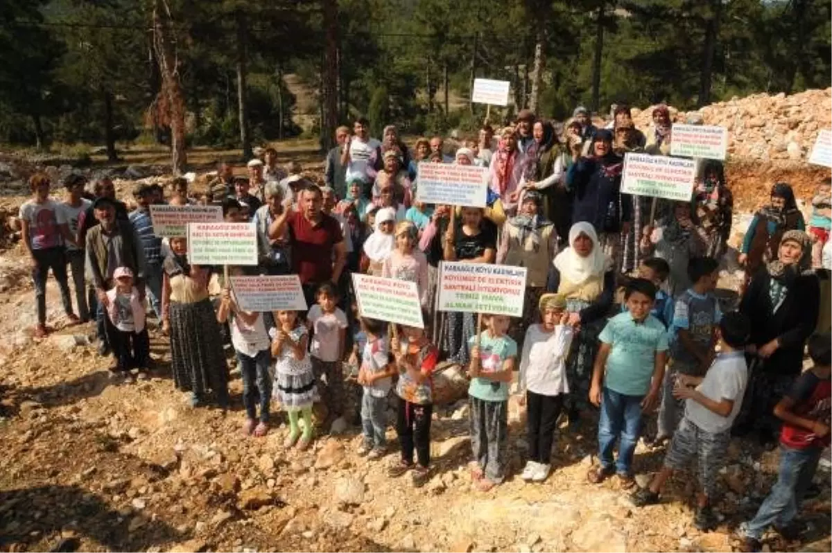 Biyokütle Enerji Santralinde Yürütmeyi Durdurma Kararı