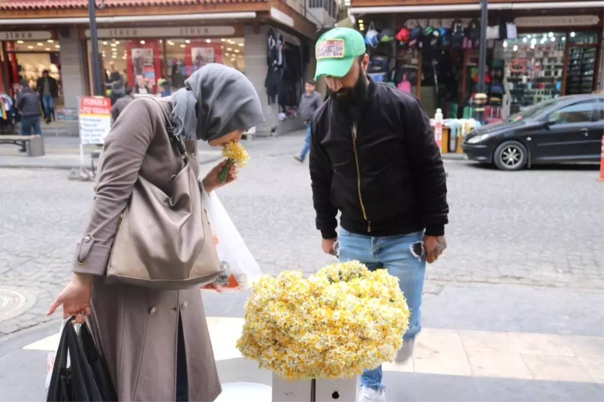 Diyarbakır Sokakları Nergis Çiçeği Kokmaya Başladı