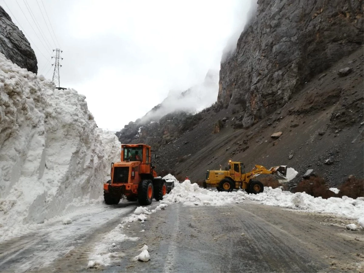 Hakkari-Çukurca Karayoluna Çığ Düştü