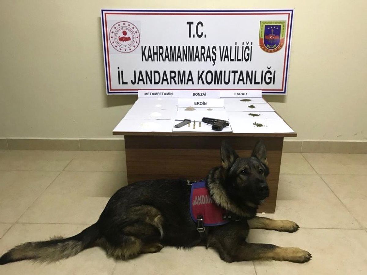 Kahramanmaraş\'ta Uyuşturucu Operasyonu: 21 Gözaltı