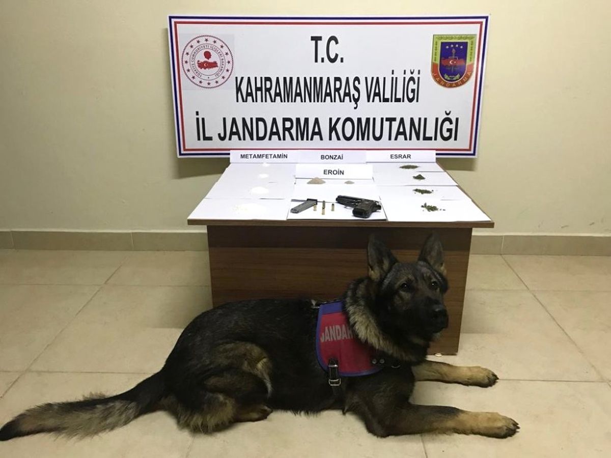 Kahramanmaraş\'ta Uyuşturucu Operasyonu: 21 Gözaltı