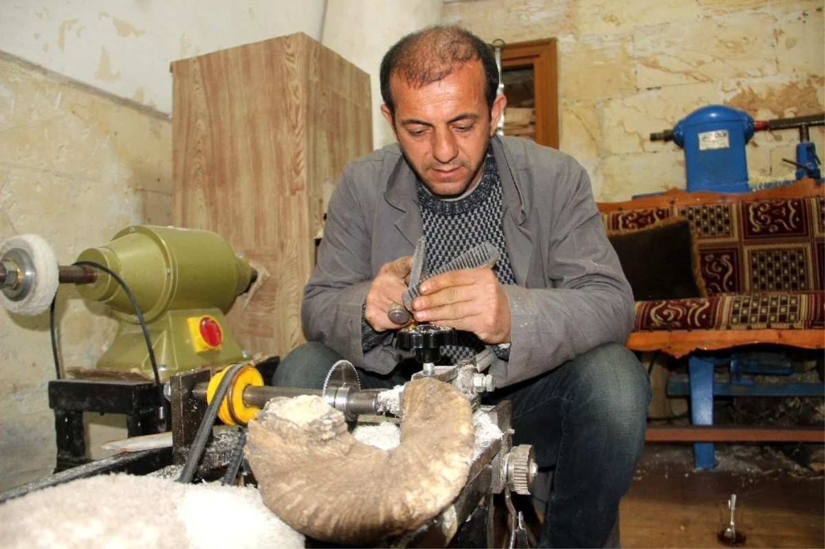 Koç Boynuzunun Rengarenk Tarağa Dönüştürüyor