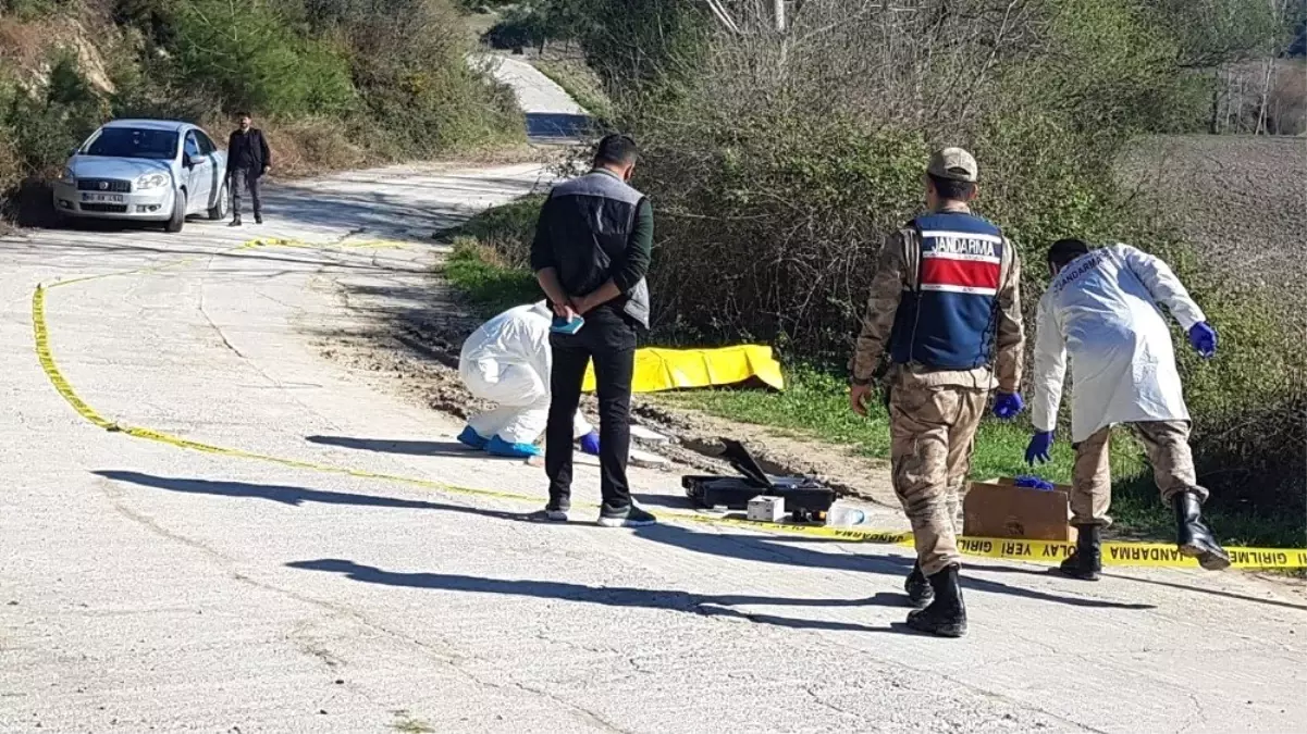 Döverek Öldürüp Yol Kenarına Attılar