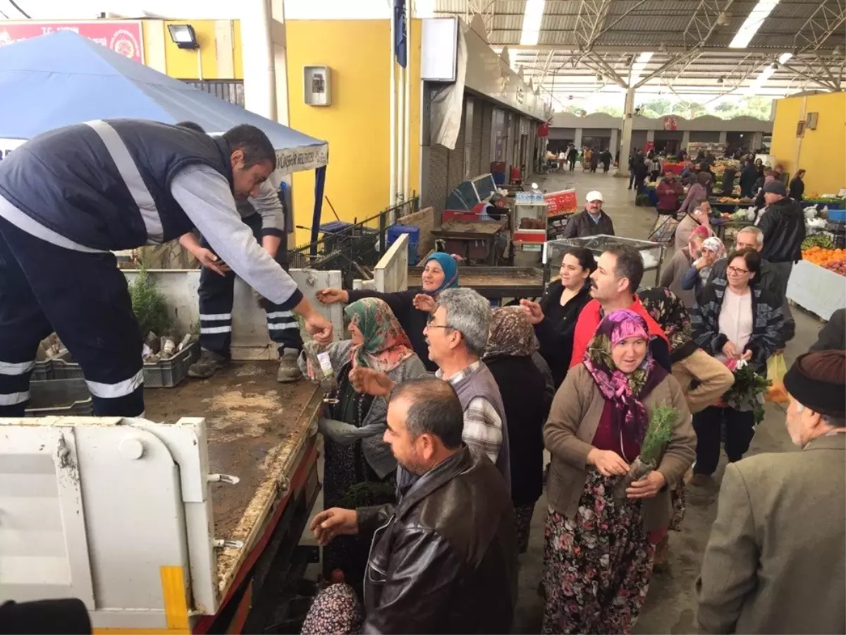 Efeler Belediyesi Vatandaşlara Mazı Fidanı Dağıttı