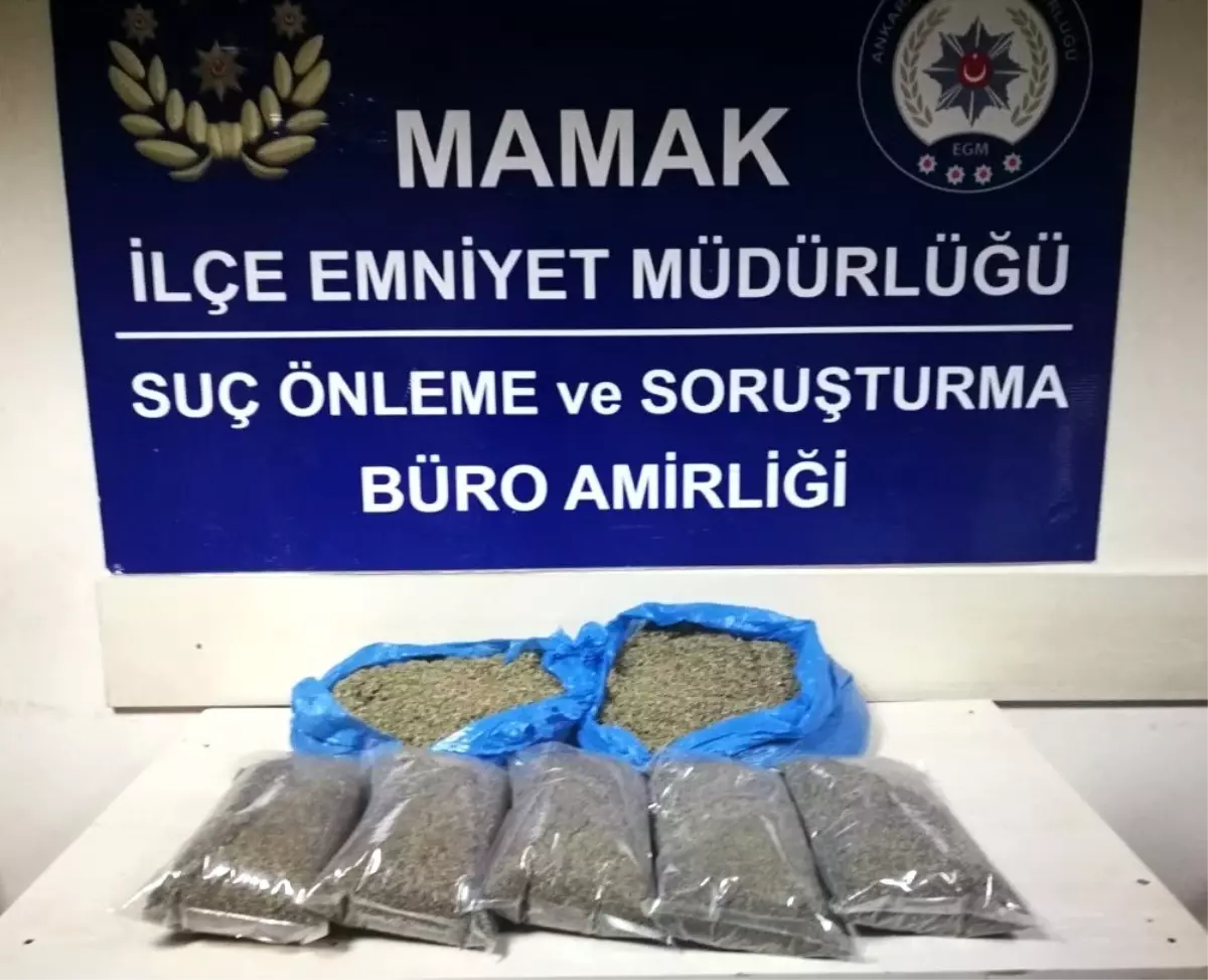 İstanbul\'dan Ankara\'ya 6 Kilo Bonzai Getiren 3 Kişi Yakalandı