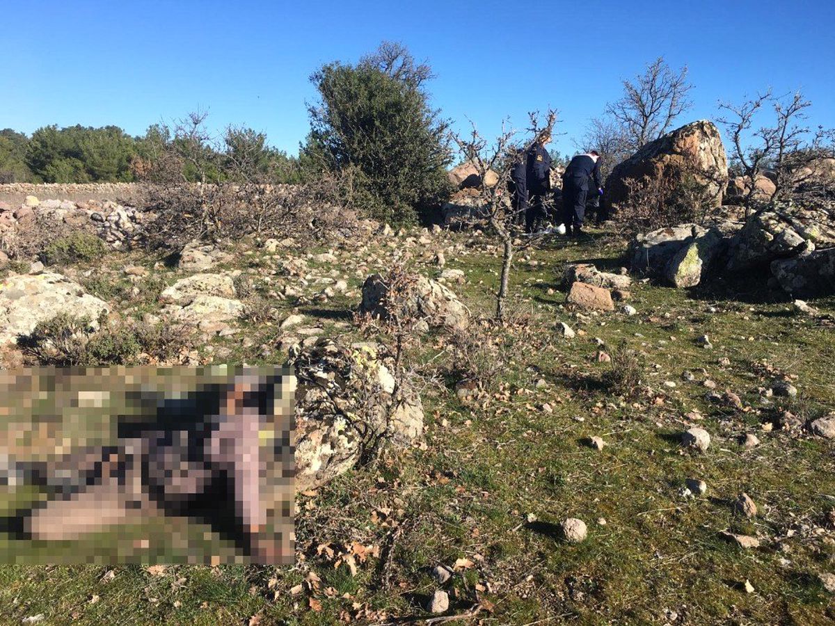 Manisa\'da Kayıp Olan Bir Kişi Boş Arazide Ölü Bulundu
