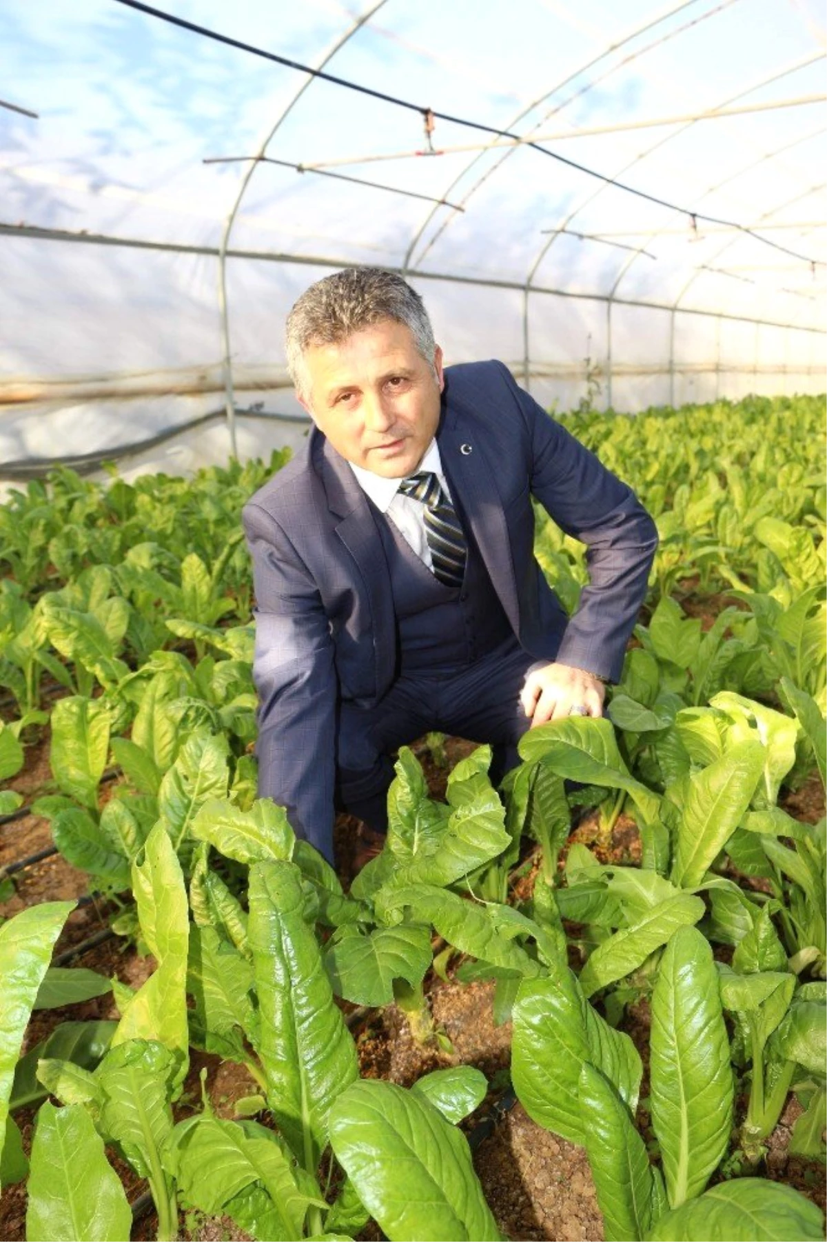 Pehlevan\'dan 31 Mart\'ta Göreve Gelecek Olan Belediye Başkanlarına "Tarım Alanı" Uyarısı