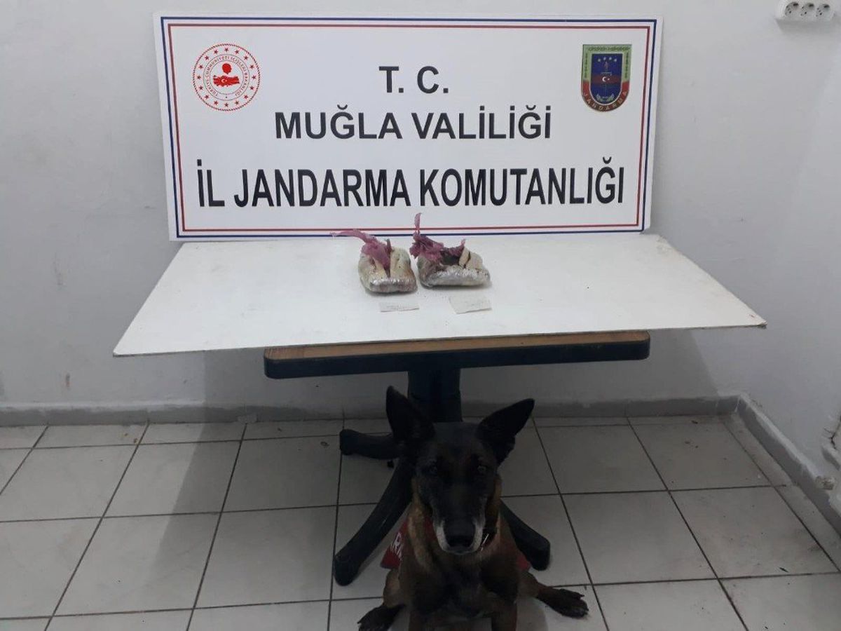 1 Kilo Esrar Çimen\'in Dikkatinden Kaçmadı