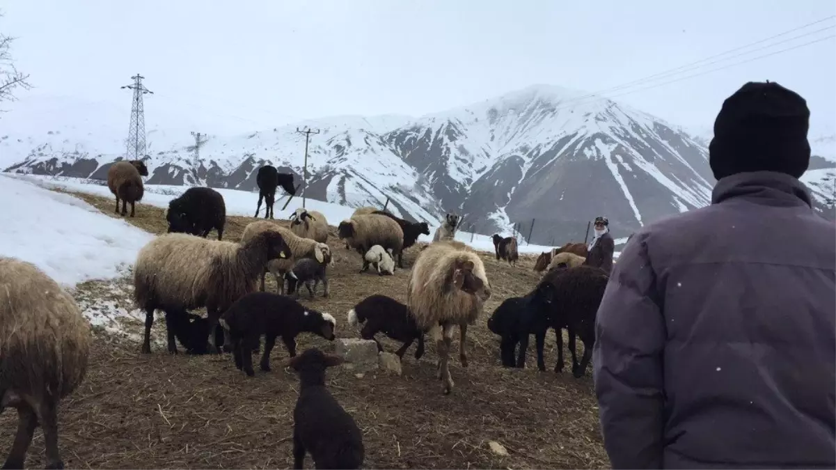 Bu Kış Onlar İçin Zor Geçti