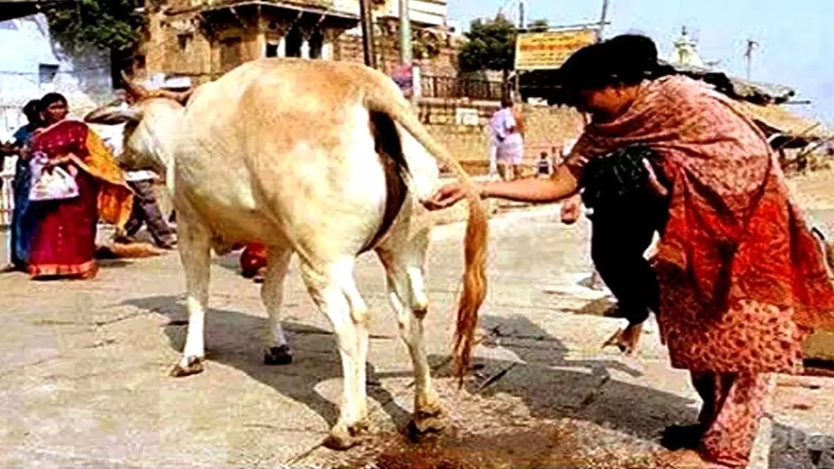 Bunu Yalnızca Hindistan\'da Göreceksiniz..!! Hindistan Hakkında "14" İnanılmaz Gerçek