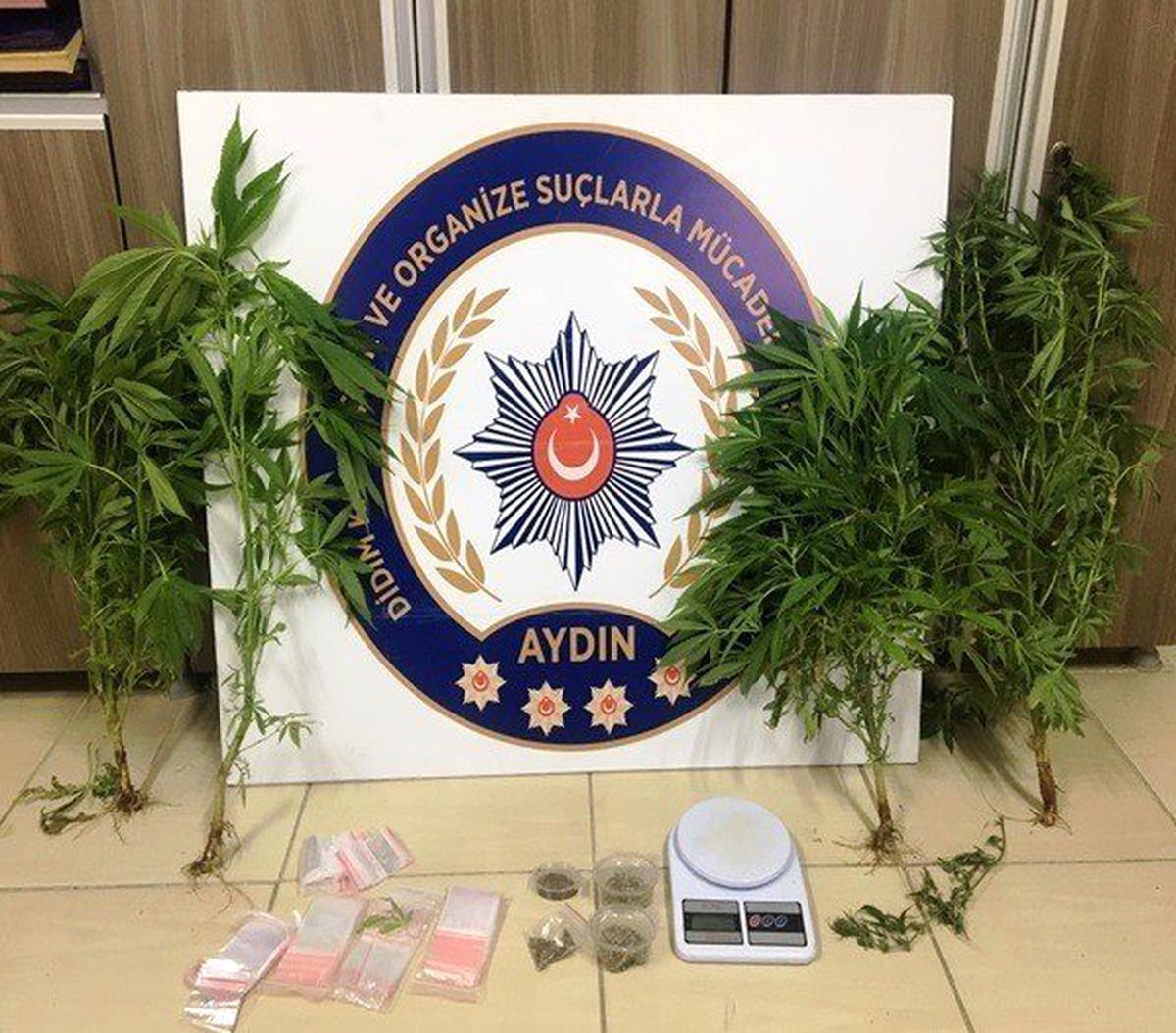 Didim\'de Saksıda Kenevir Yetiştiren 1 Kişi Yakalandı