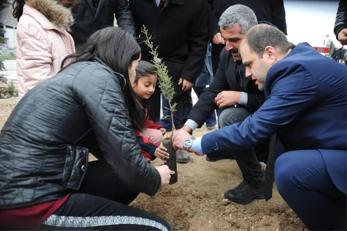 Minikler Malatya\'nın İlk Çocuk Ormanını Oluşturdu