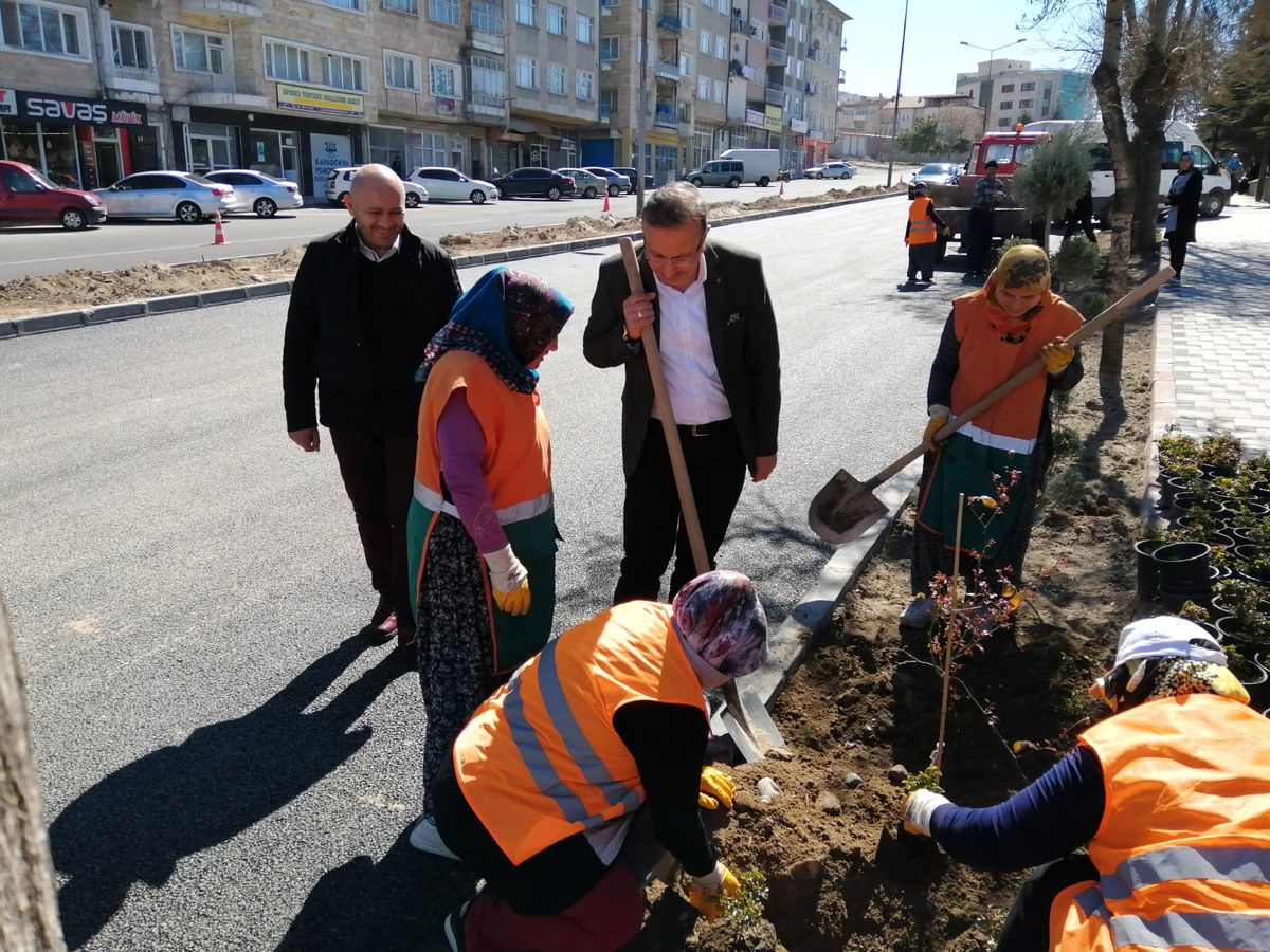 Nevşehir\'de Refüj Ve Yan Bandlarda Yeşil Örtü