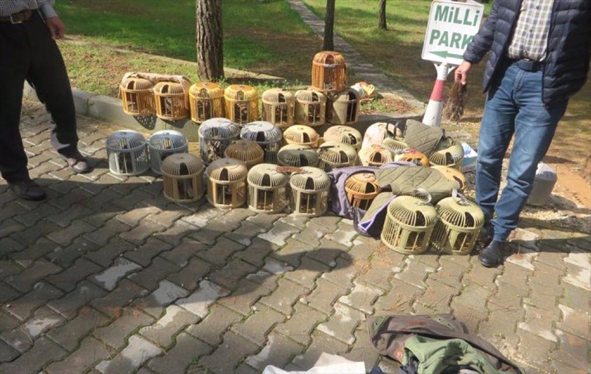 Şanlıurfa\'da Kaçak Avlanan 28 Kınalı Keklik Doğaya Bırakıldı