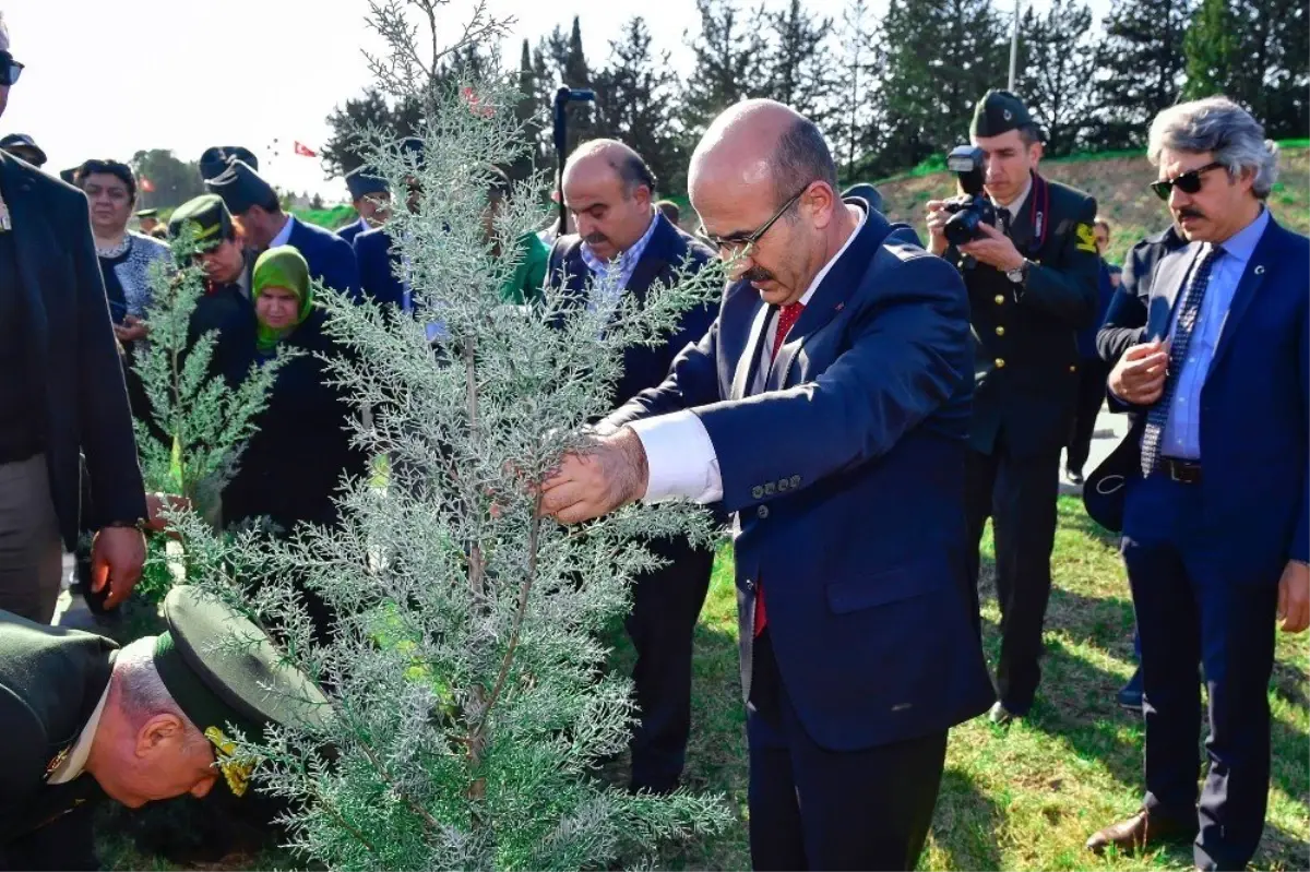 Şehitler Anısına Fidanlar Toprakla Buluşturuldu