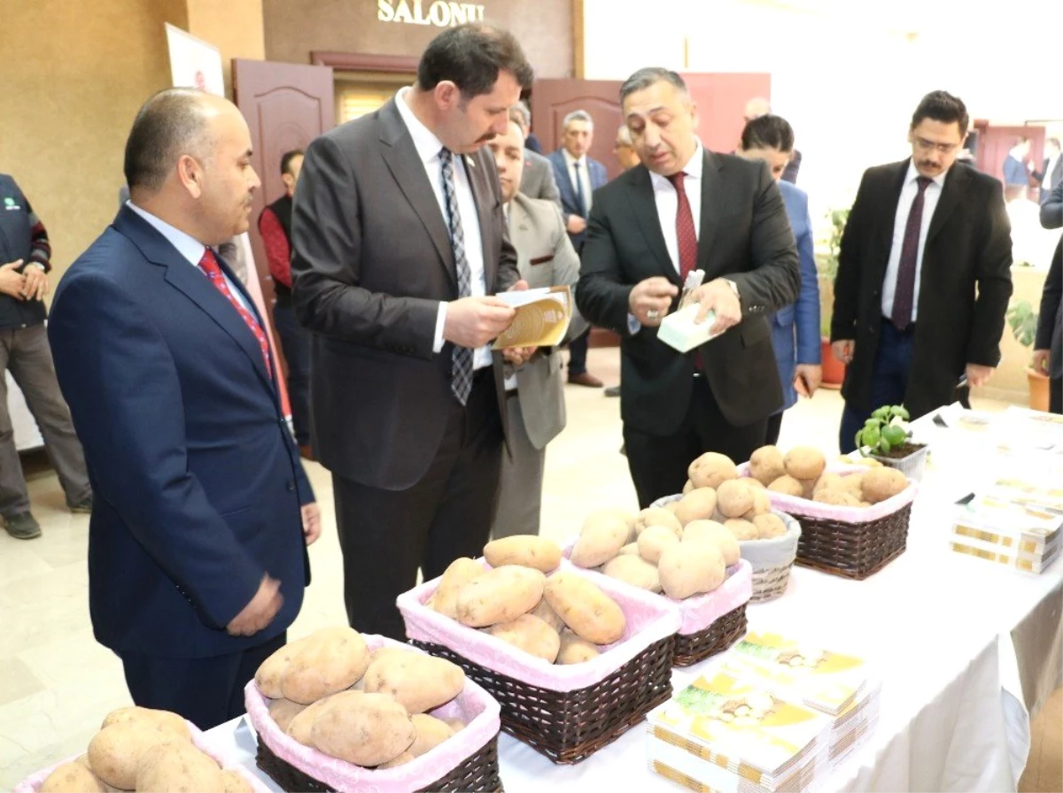 Sivas\'ta Patatesin Üretimi ve Sorunları Anlatıldı