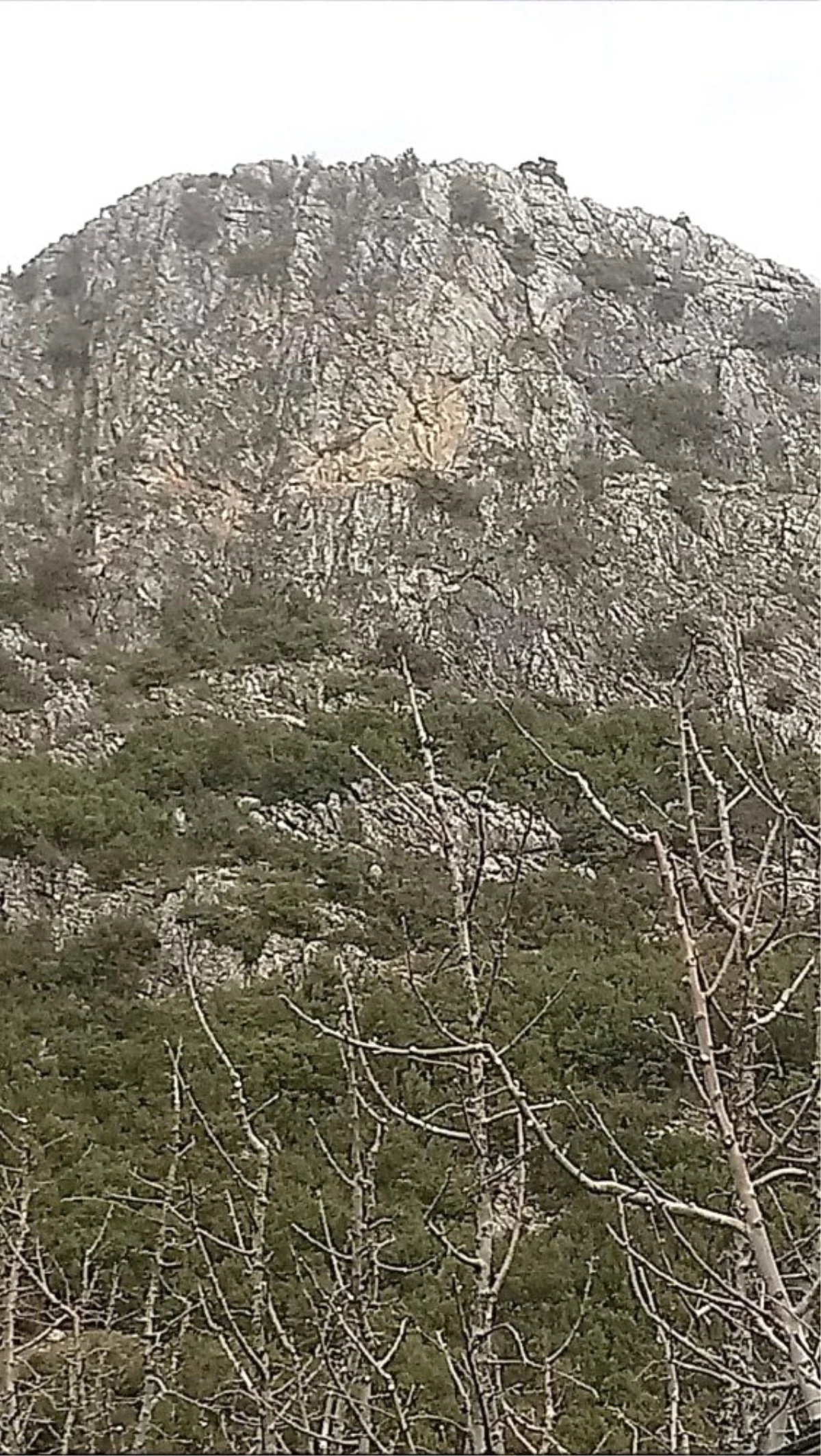 15 Gündür Kayalıklarda Mahsur Kalan Keçi Kurtarılmayı Bekliyor