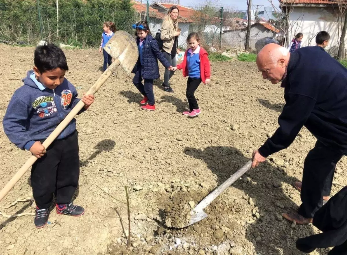 Genç Fidanlar, Asırlık Çınarlarla Ağaç Dikti