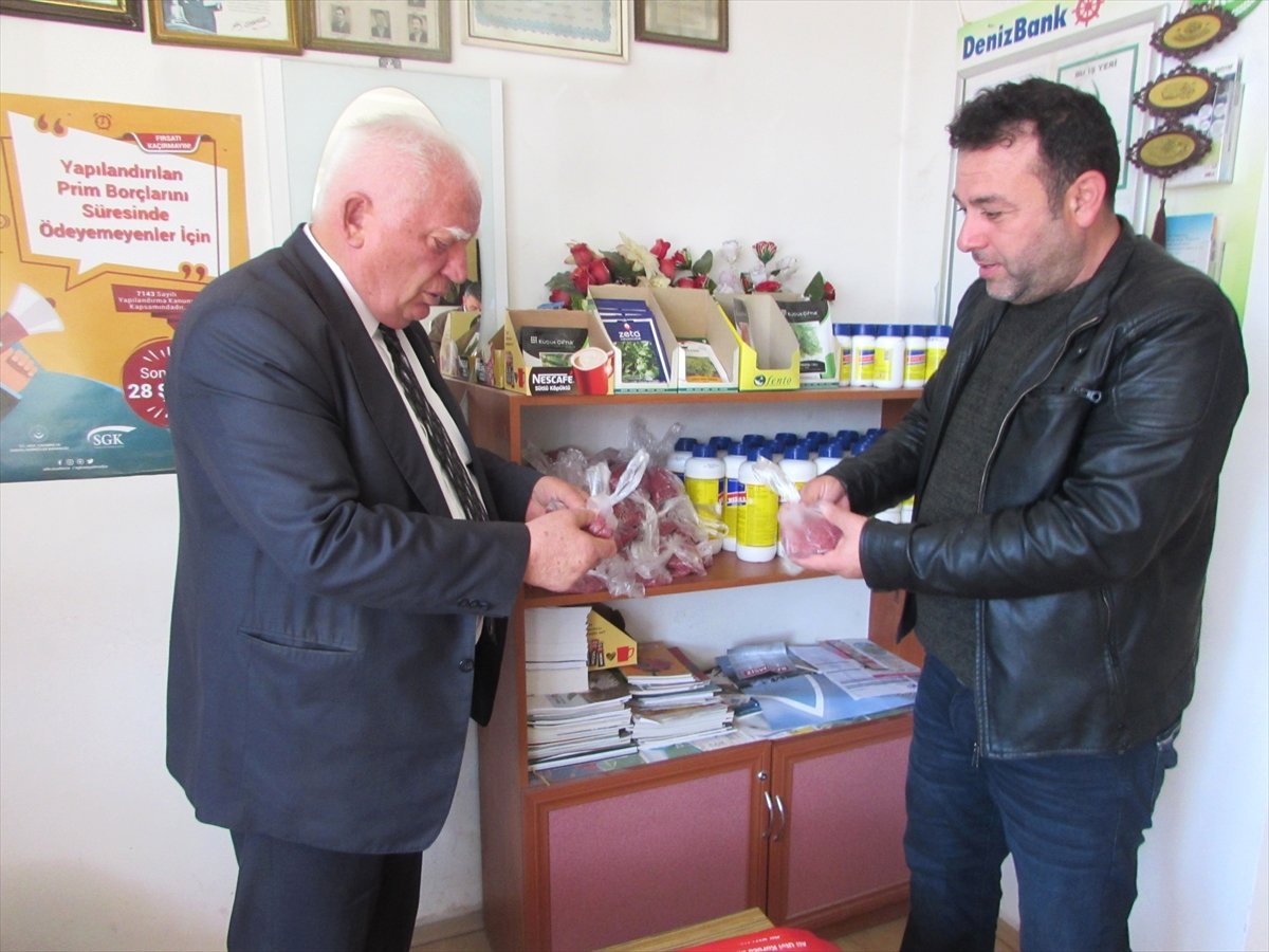 Kavak Ziraat Odasından Sertifikalı Sebze Tohumu