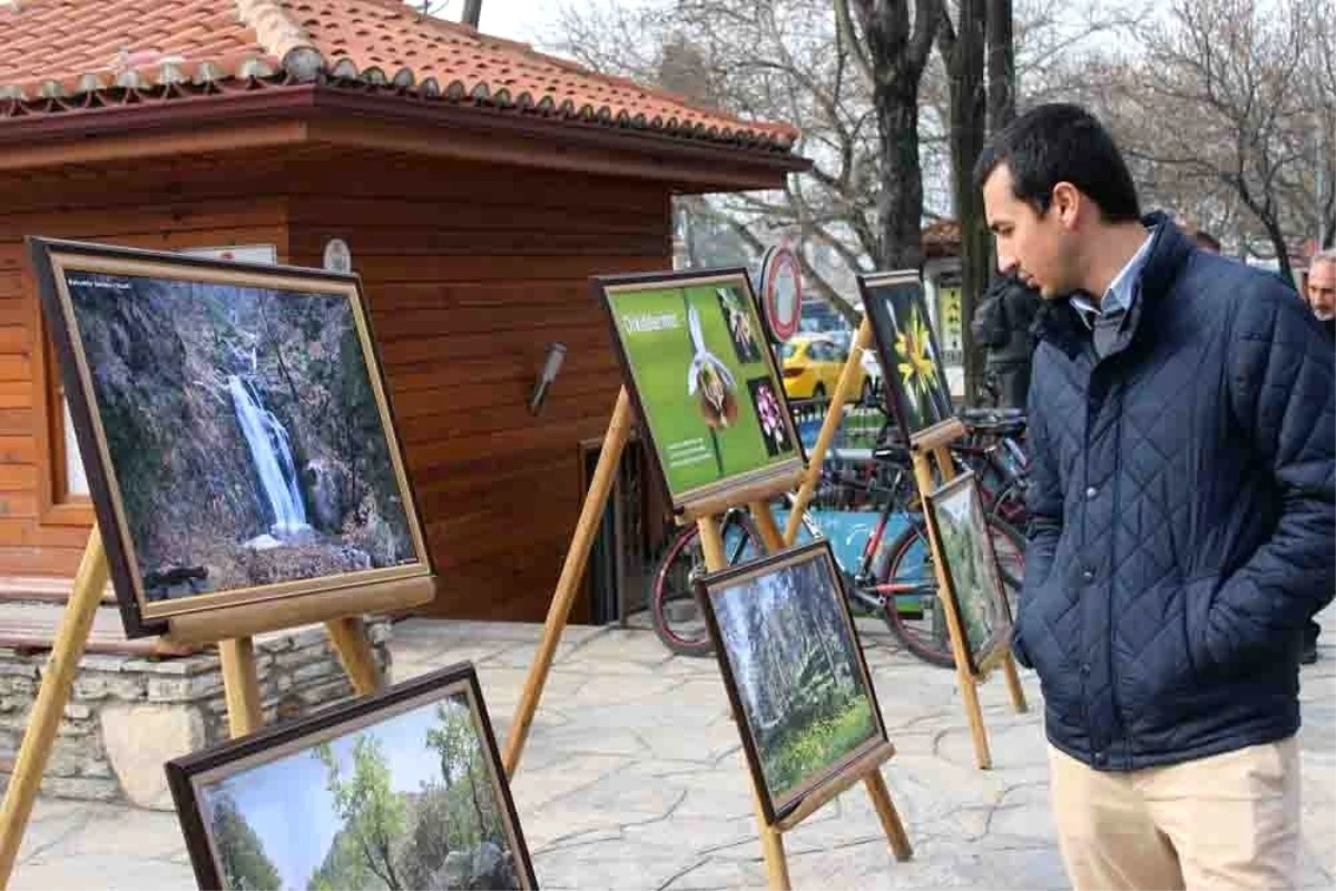 Menteşe\'de 5 Bin Fidan Dağıtıldı