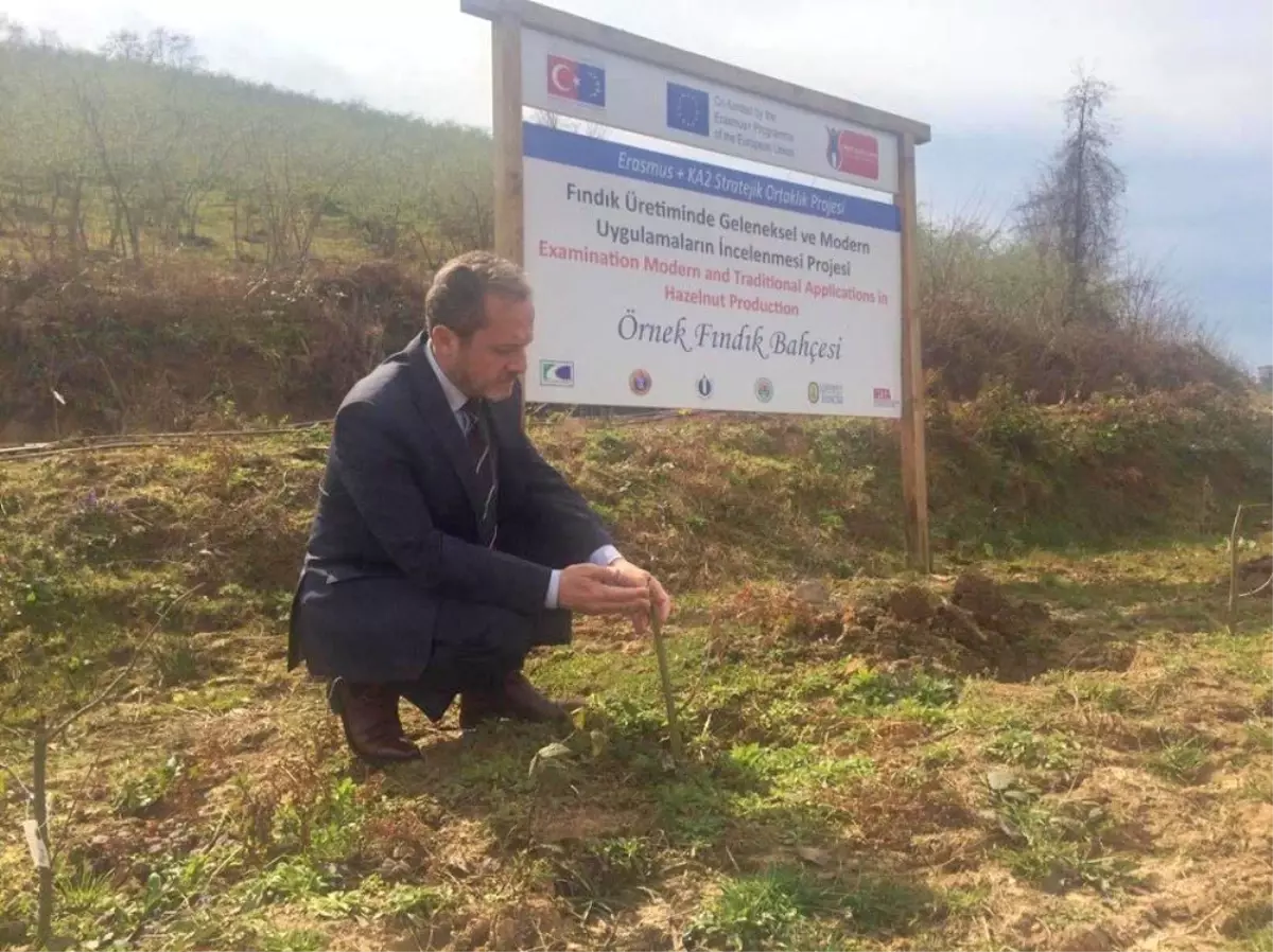 Odü, Türk Fındığını Uluslararası Arenaya Taşıdı