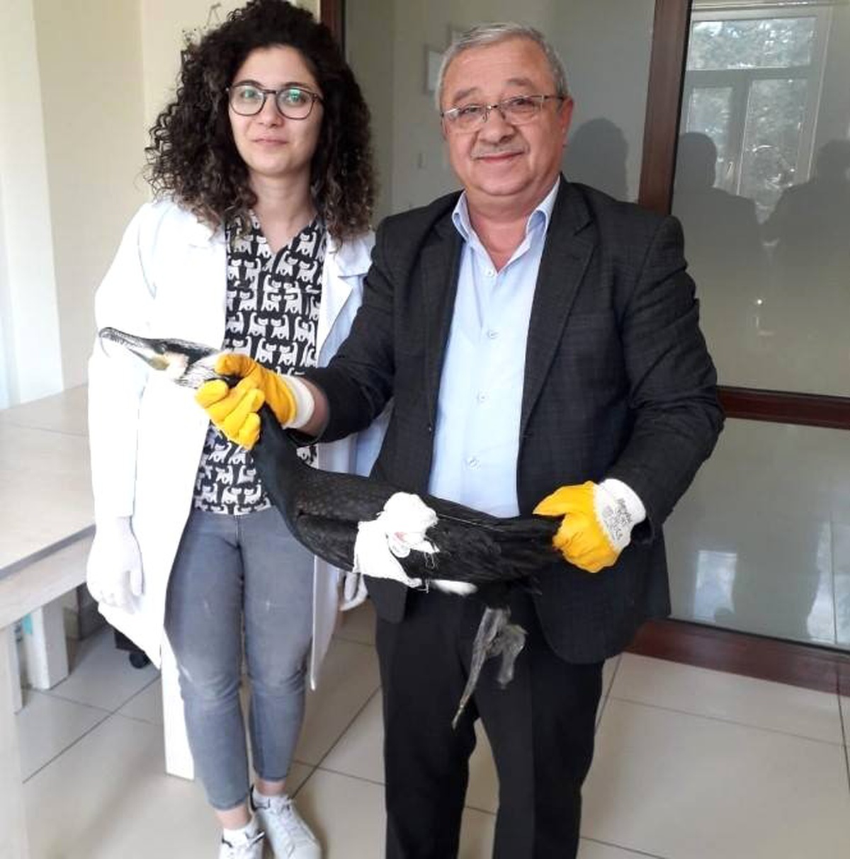 Tedavisi Tamamlanan Karabatak, Doğaya Salındı