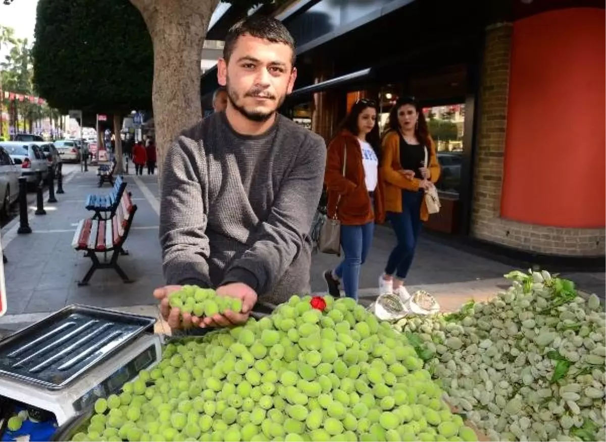 Turfanda Çağlaya Hamileler İlgi Gösteriyor