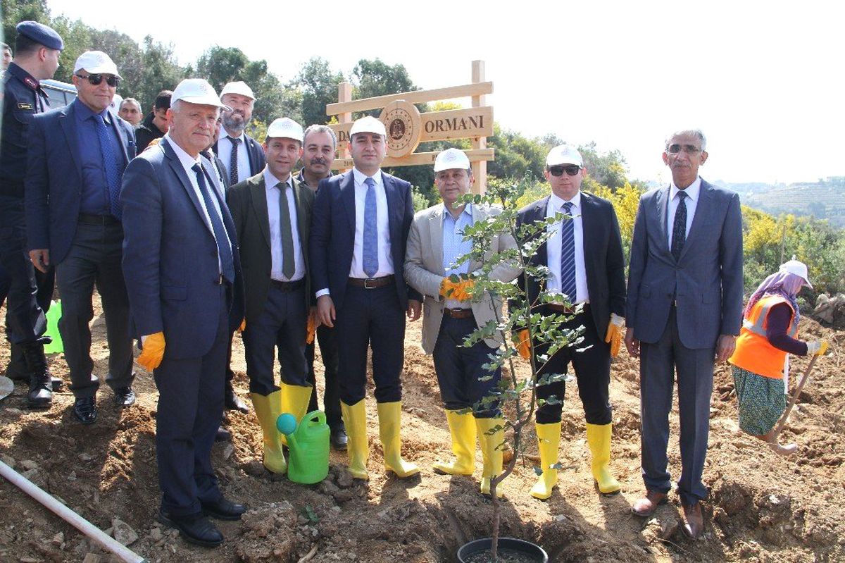 Alanya\'da "Adalet Ormanı" İçin İlk Fidanlar Dikildi