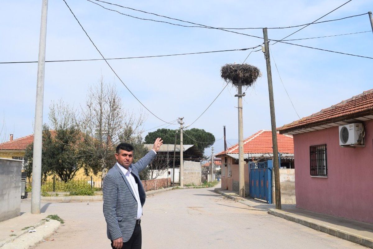 Baharın Müjdecisi Leylekler Alaşehir\'e Geldi