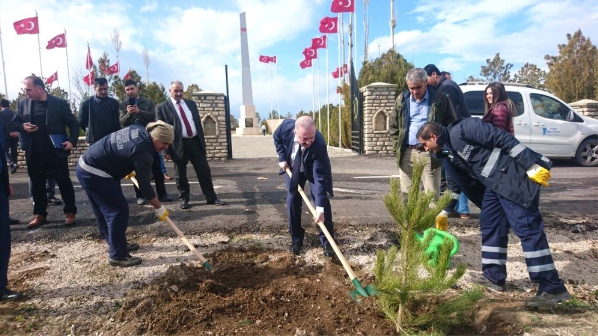 Başkan Özgökçe\'den \'Dünya Ormancılık Günü ve Orman Haftası\' Mesajı