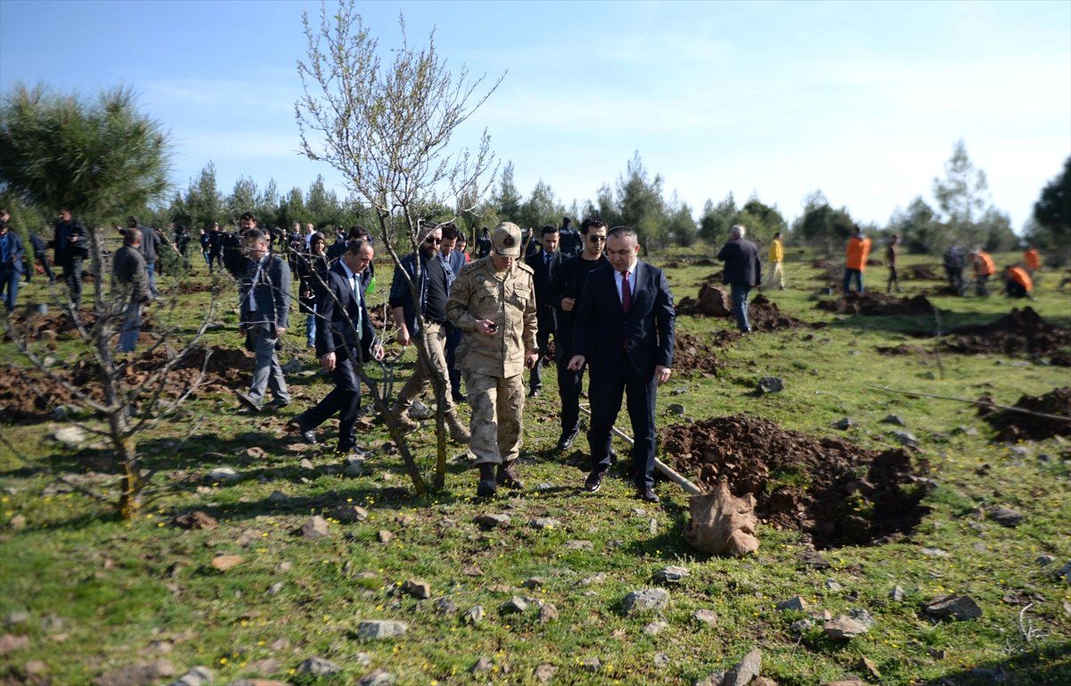 Denetimli Serbestlik Yükümlüleri Fidan Dikti