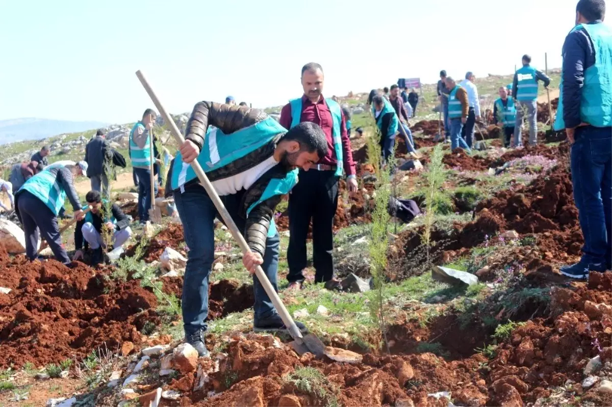 Hükümlüler Fidanları Toprakla Buluşturdu