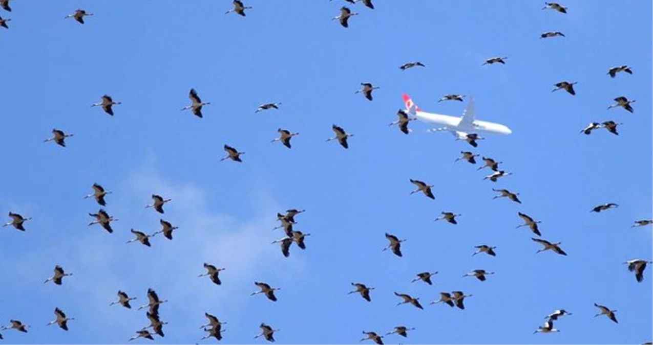 İstanbul Hava Sahasında Göç Alarmı Verildi