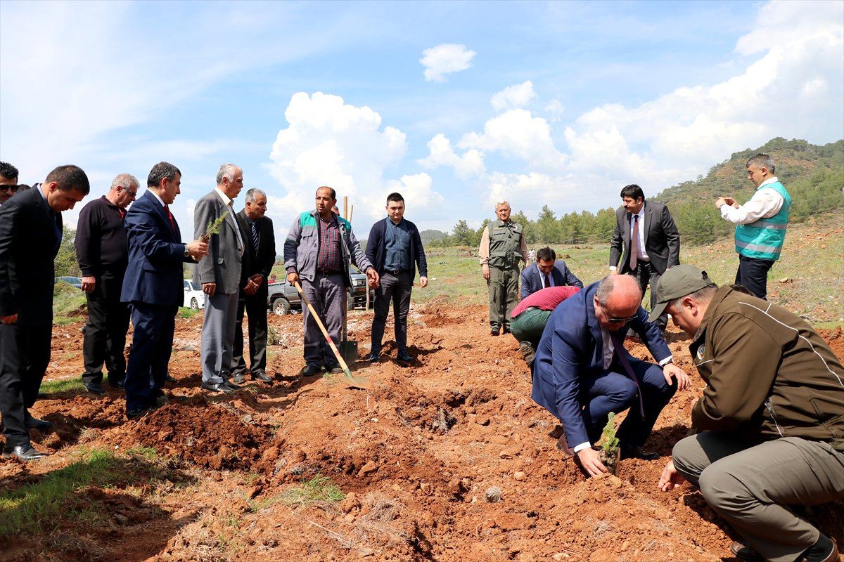 Muğla\'da "Adalet Ormanı"Na Bin 600 Fidan Dikildi