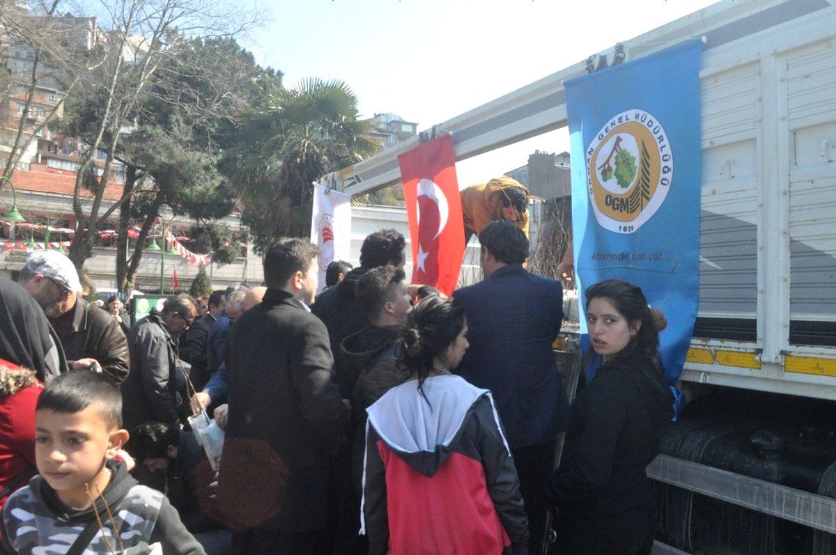 Obm\'den Ücretsiz Fidan Dağıtımı