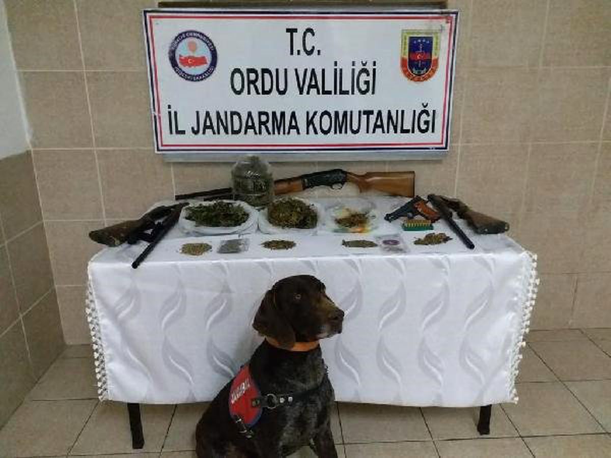 Ordu\'da Uyuşturucu Ticaretine 3 Tutuklama