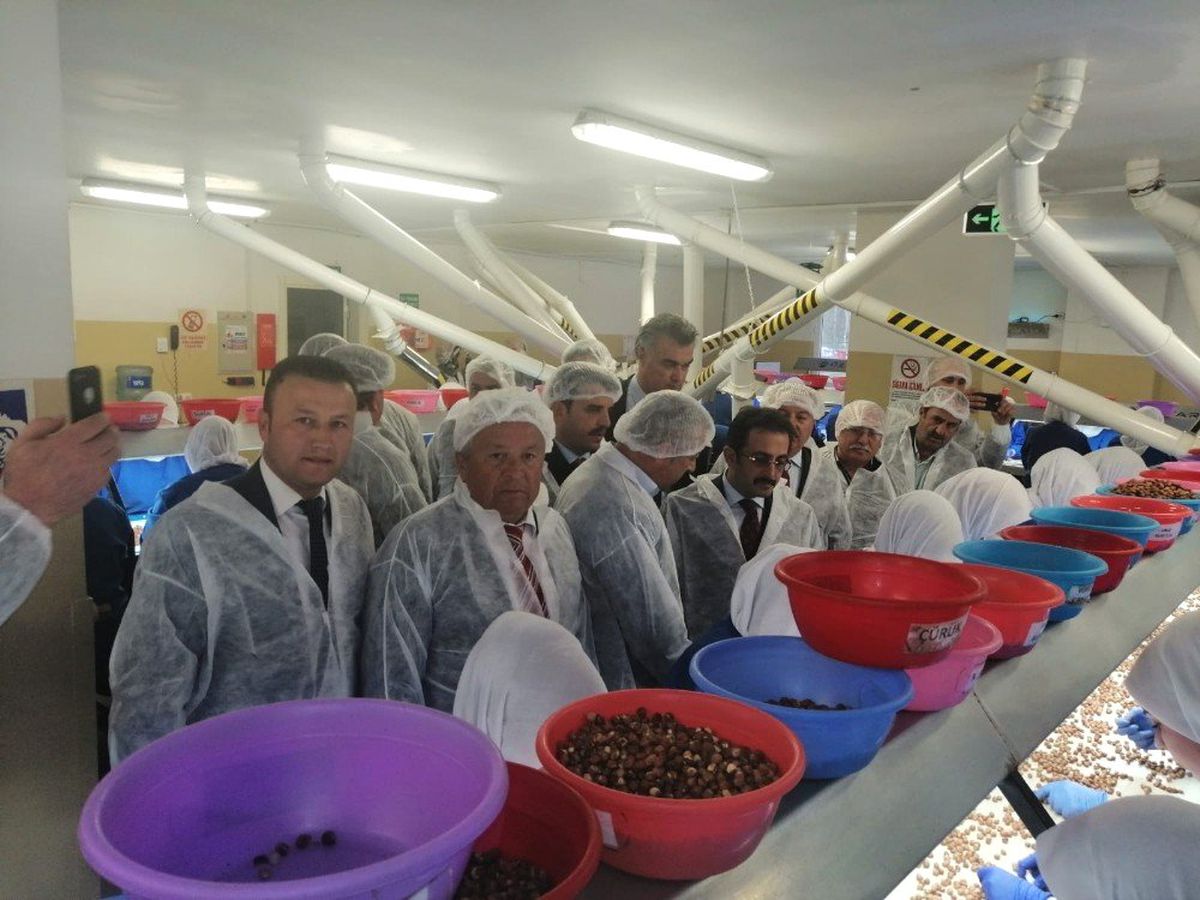 Ormanlı\'da Millet Bahçesi ve Dere Islahı Projeleri Onaylandı