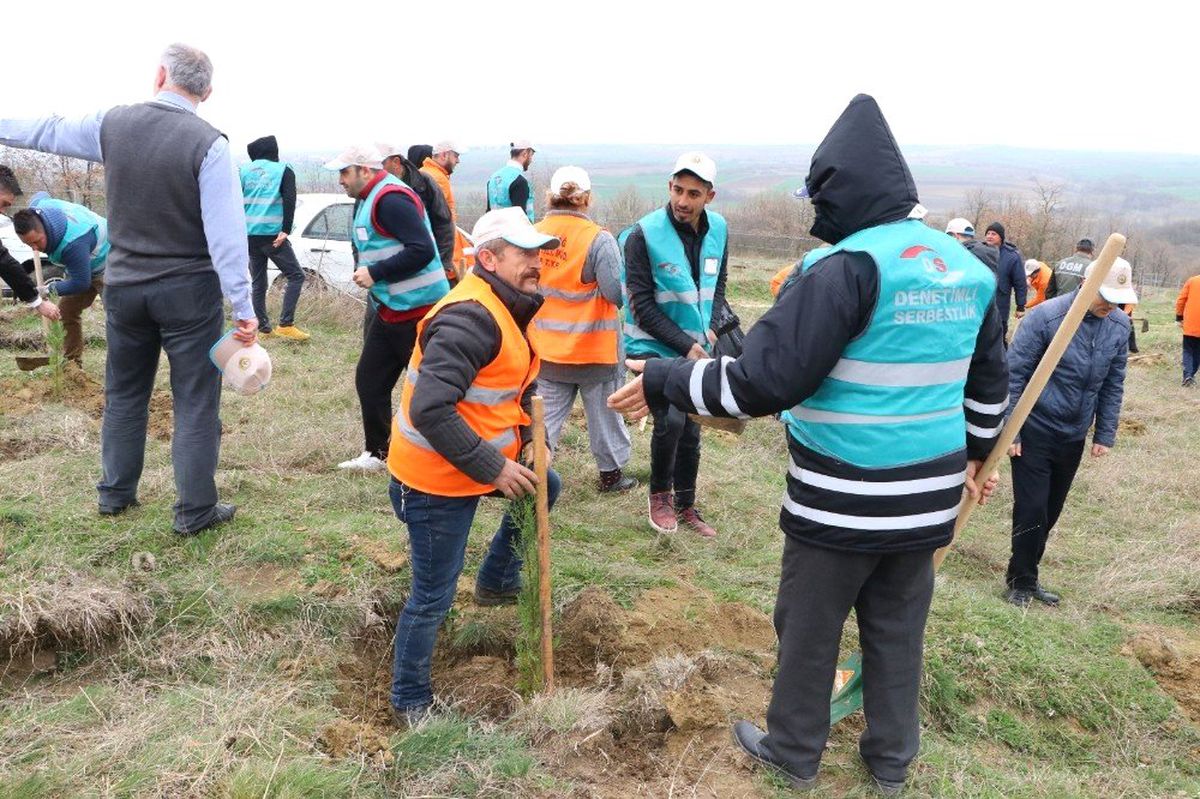 Savcılar ve Hükümlüler Fidan Dikti