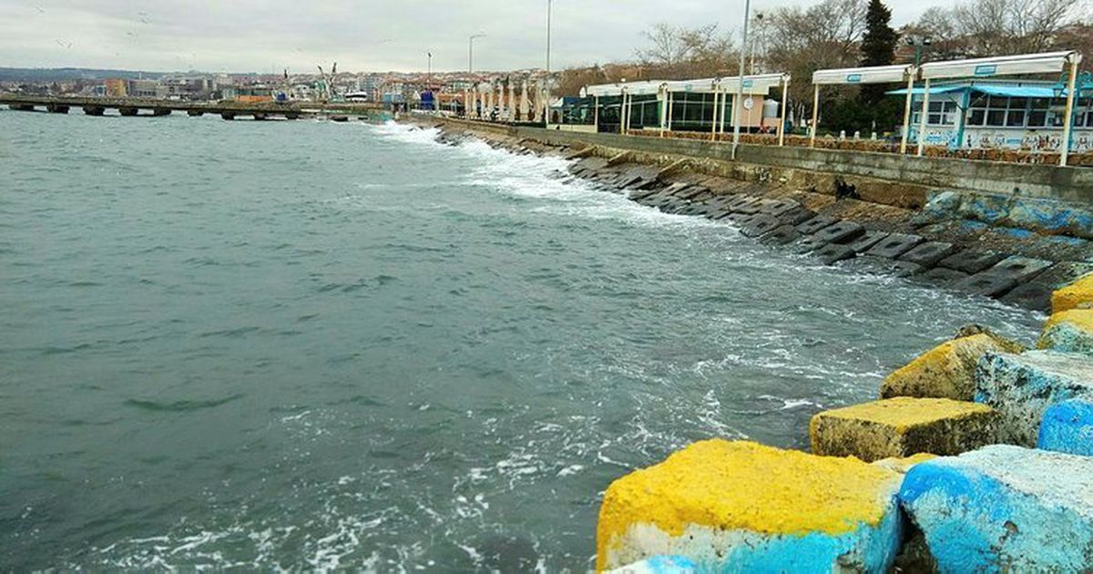 Sevimli Canavar Marmara\'da Yakalandı