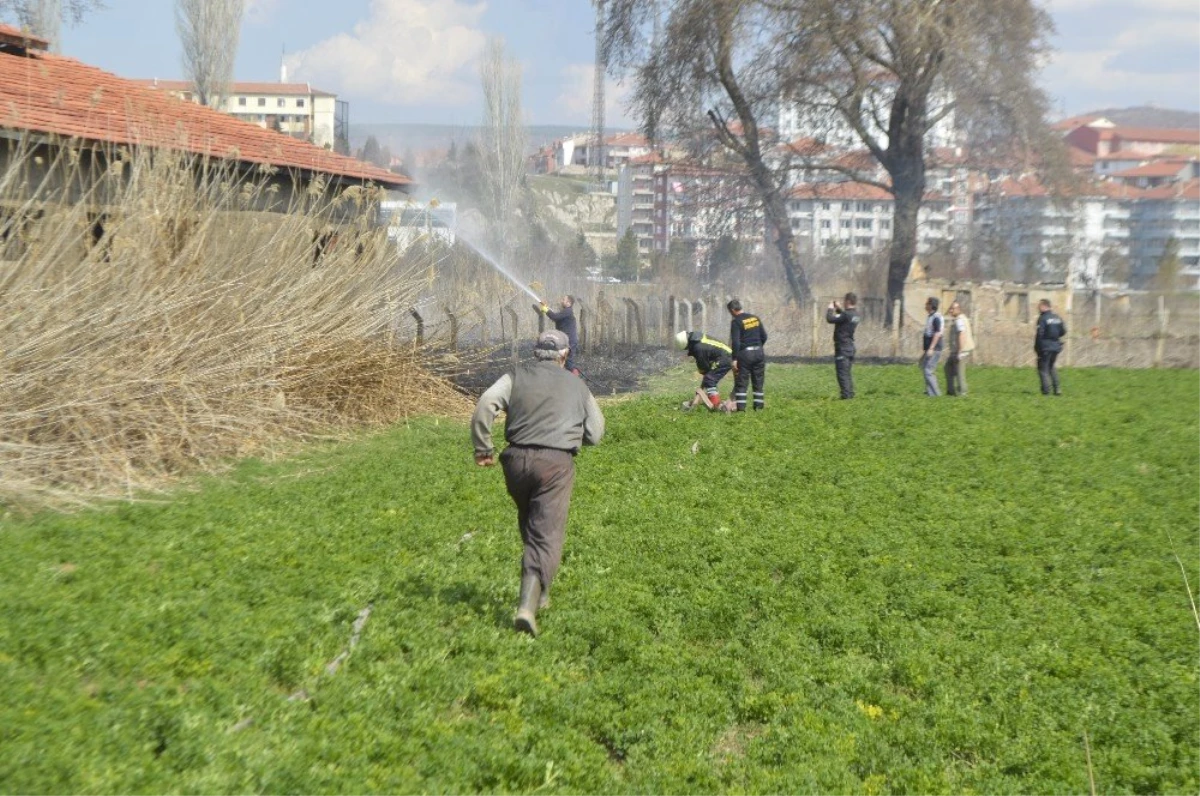 Tavşanlı\'da Anız Yangını Büyümeden Söndürüldü