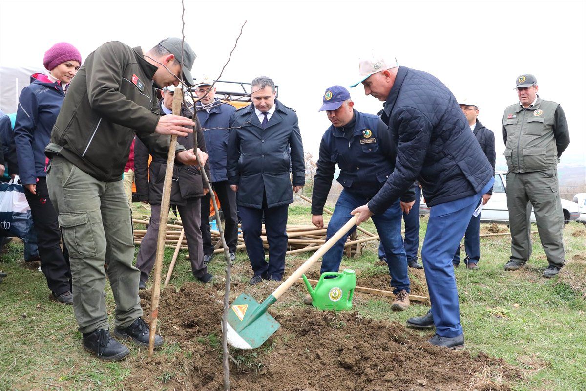 Tekirdağ\'da Adalet Hatıra Ormanı Oluşturuldu