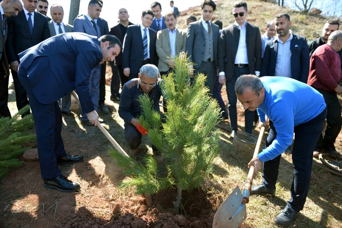 Tunceli\'de "Adalet Ormanı" Oluşturuldu
