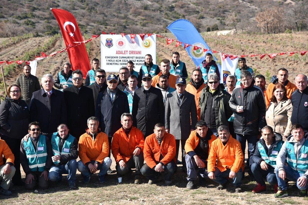 Yükümlü ve Hükümlüler 3 Bin Karaçam Fidanı Dikti