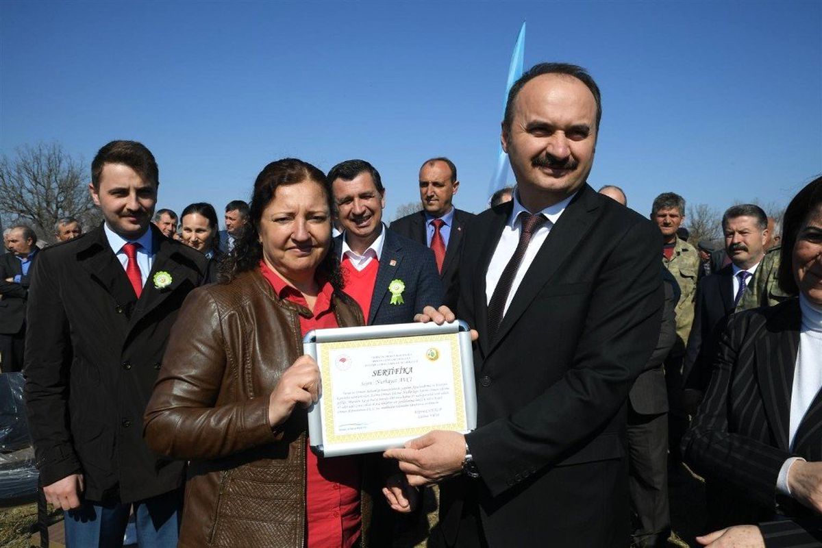 Akardere Köyüne 8 Bin 800 Adet Ceviz Fidanı Dikildi