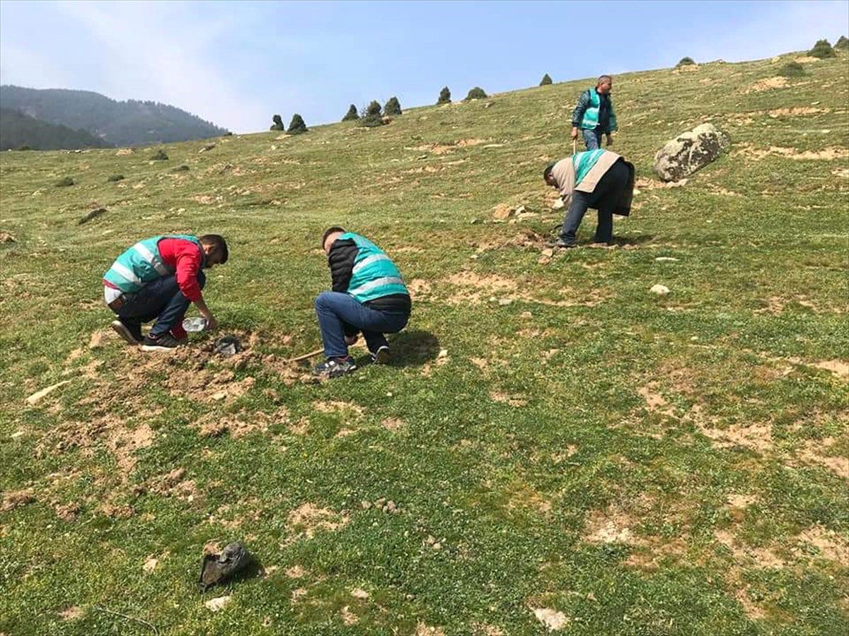 Alaşehir\'de Adalet Ormanı Oluşturuldu